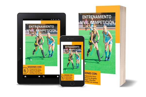ebook hockey